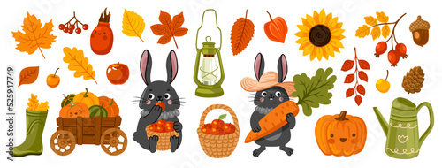 Black bunny cartoon characters, pumpkin, apple, foliage. Farming, gardening, fall season design elements. Autumn harvest set. Vector flat illustration.