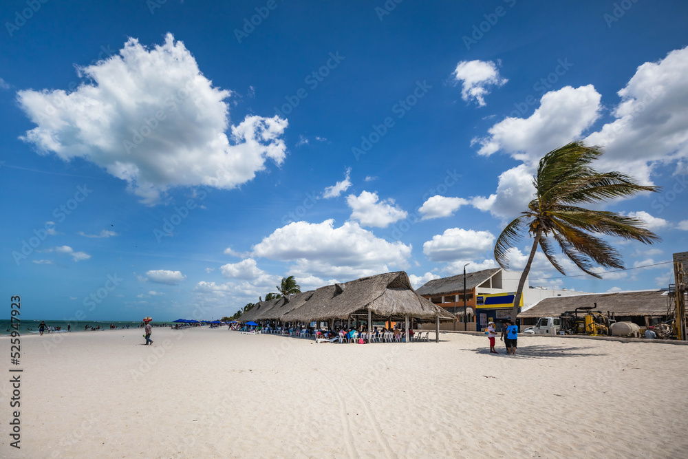 Palapa houses in the beach