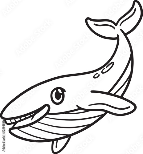 Whale Animal Isolated Coloring Page for Kids