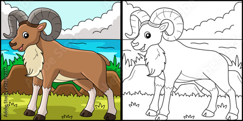 Urial Animal Coloring Page Colored Illustration photo