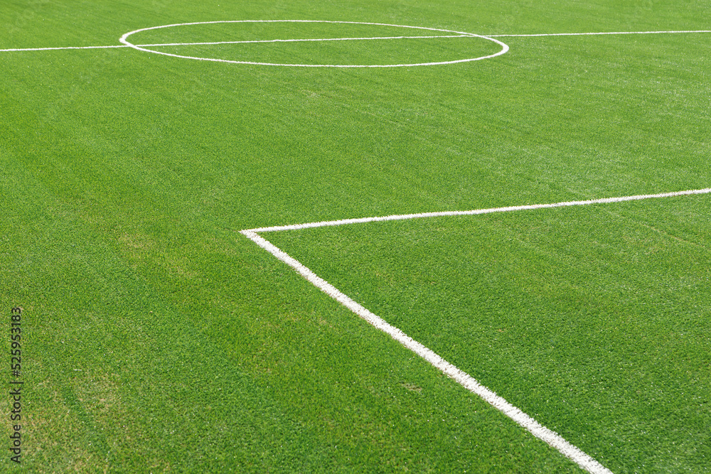 A fragment of the marking of a football field with green grass. A fragment of the marking of a football field with green grass.