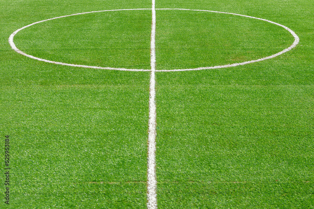 A fragment of the marking of a football field with green grass.