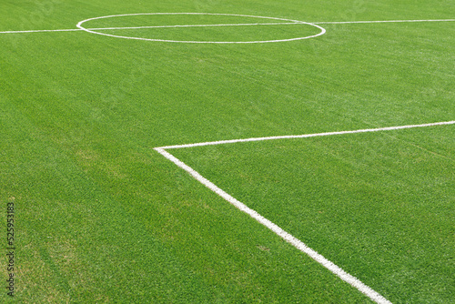 Fototapeta Naklejka Na Ścianę i Meble -  A fragment of the marking of a football field with green grass.