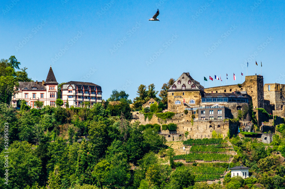view of the old town castles on the Rhine River in Europe