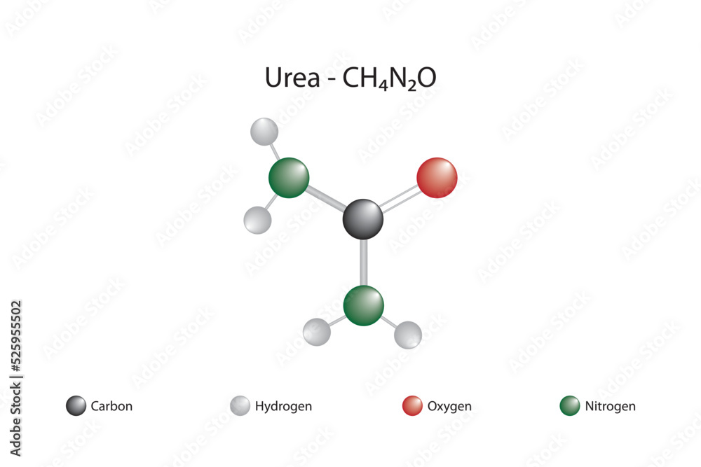 Molecular formula and chemical structure of urea Stock Vector Adobe Stock