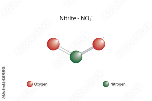 Molecular formula and chemical structure of nitrite