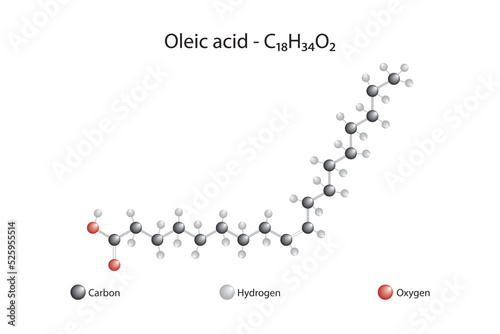 Molecular formula and chemical structure of oleic acid