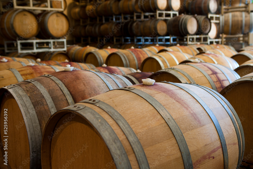 Wine barrels in storage.