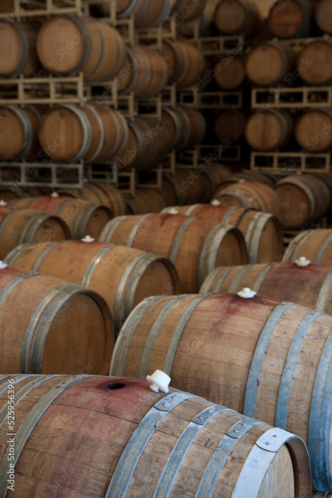 Wine barrels in storage.