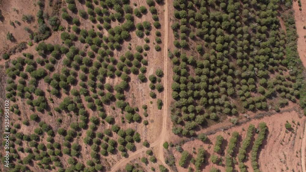 Top View Of Narrow Track Along Dense Vegetation In Portugal. Aerial Topdown Top View Of Narrow Track Along Dense Vegetation In Portugal. Aerial Topdown