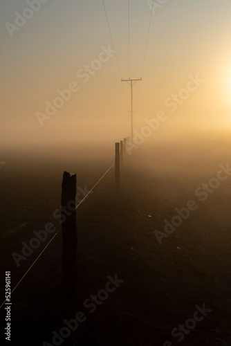 Poles disappear into the fog at dawn in a rural setting