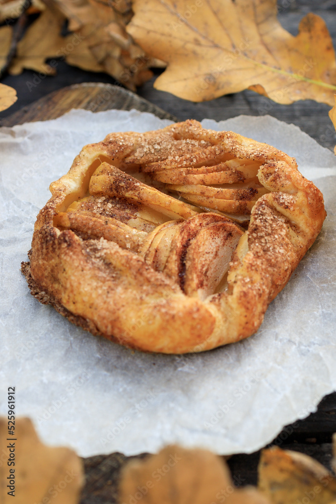 rustic traditional french biscuit cake with apples in autumn style rustic traditional french biscuit cake with apples in autumn style