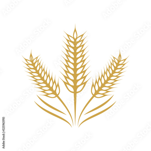 Wheat illustration design