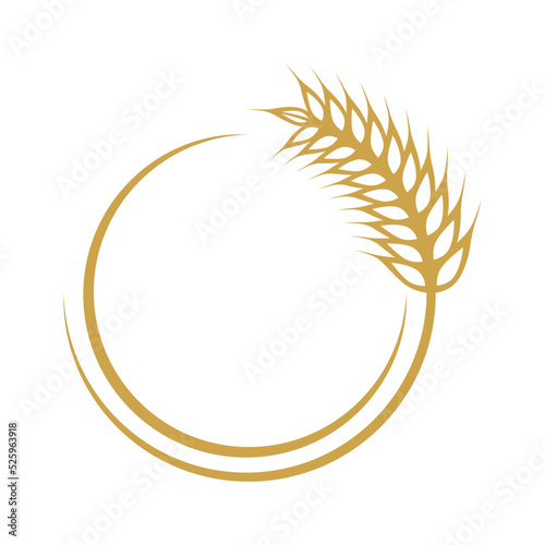 Wheat illustration design © devankastudio