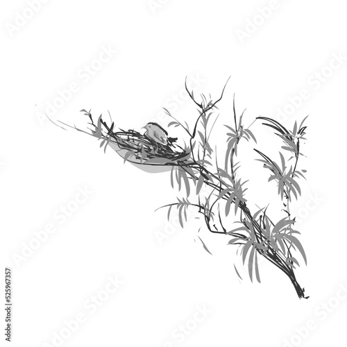 Fototapeta Naklejka Na Ścianę i Meble -  Sumi-e  Japanese ink painting , black and grey sketch of a branch with a bird nesting 