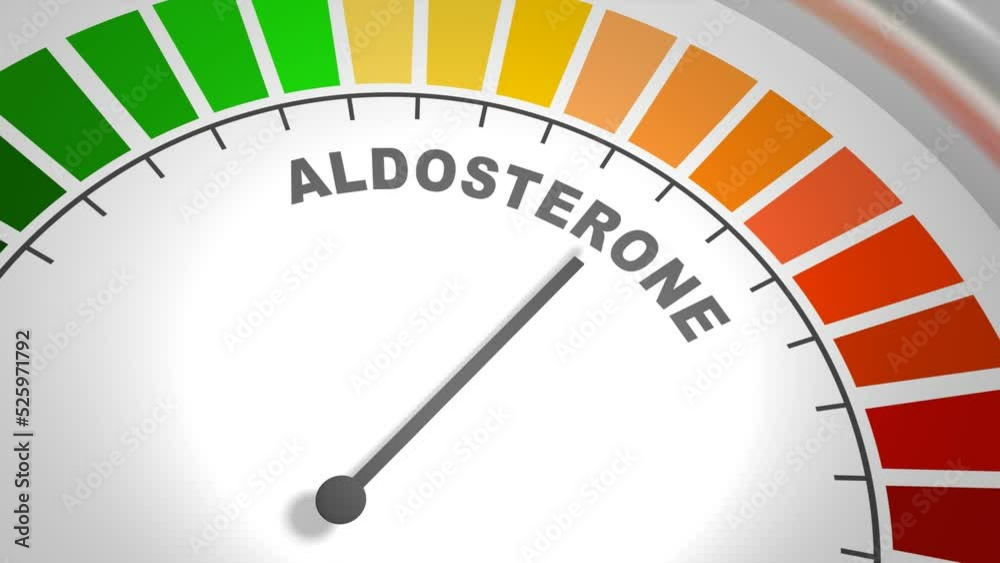 Abstract meter with scale reading low level of aldosterone. Mineralocorticoid hormone, produced by the adrenal gland. 3D render Abstract meter with scale reading low level of aldosterone. Mineralocorticoid hormone, produced by the adrenal gland. 3D render