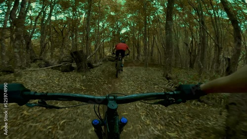 Wallpaper Mural POV Extreme mountain biking down dirt trail Torontodigital.ca