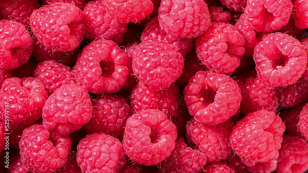 Raspberry. Fresh organic berries with leaves macro. Fruit background. Background from fresh raspberrys, close up. Top view, Flat lay, free space Raspberry. Fresh organic berries with leaves macro. Fruit background. Background from fresh raspberrys, close up. Top view, Flat lay, free space