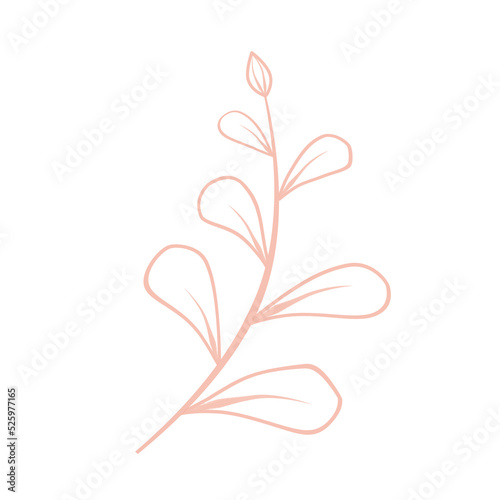 Beige color doodle line art flower and leaf.
