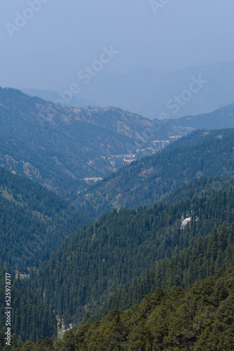 Beautiful view of mountain valley of cedar trees. Himachal pradesh