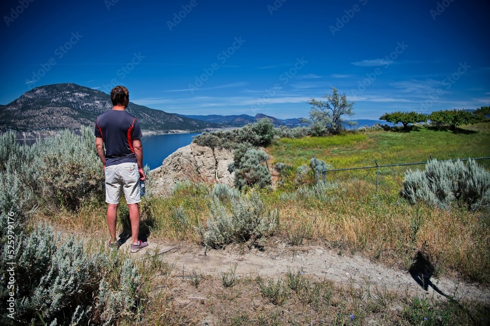 Fototapeta premium Rear view of the mature man walking in nature