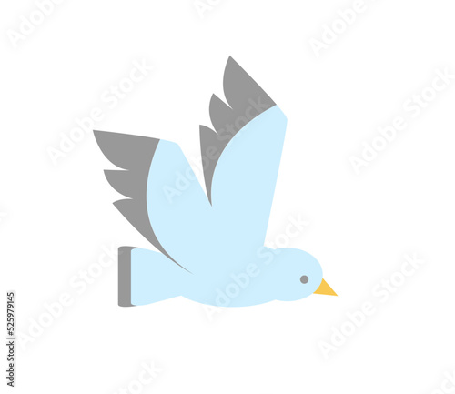 seagull