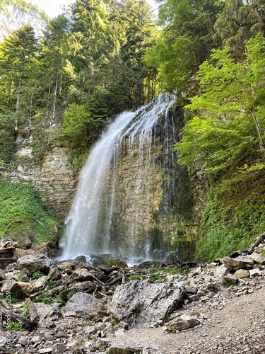 waterfall in the forest