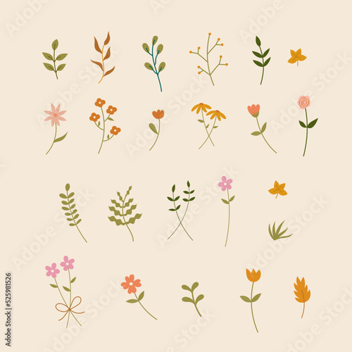 Aesthetic Floral Set