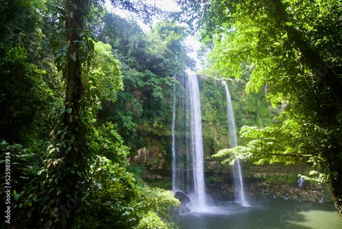waterfall in the forest