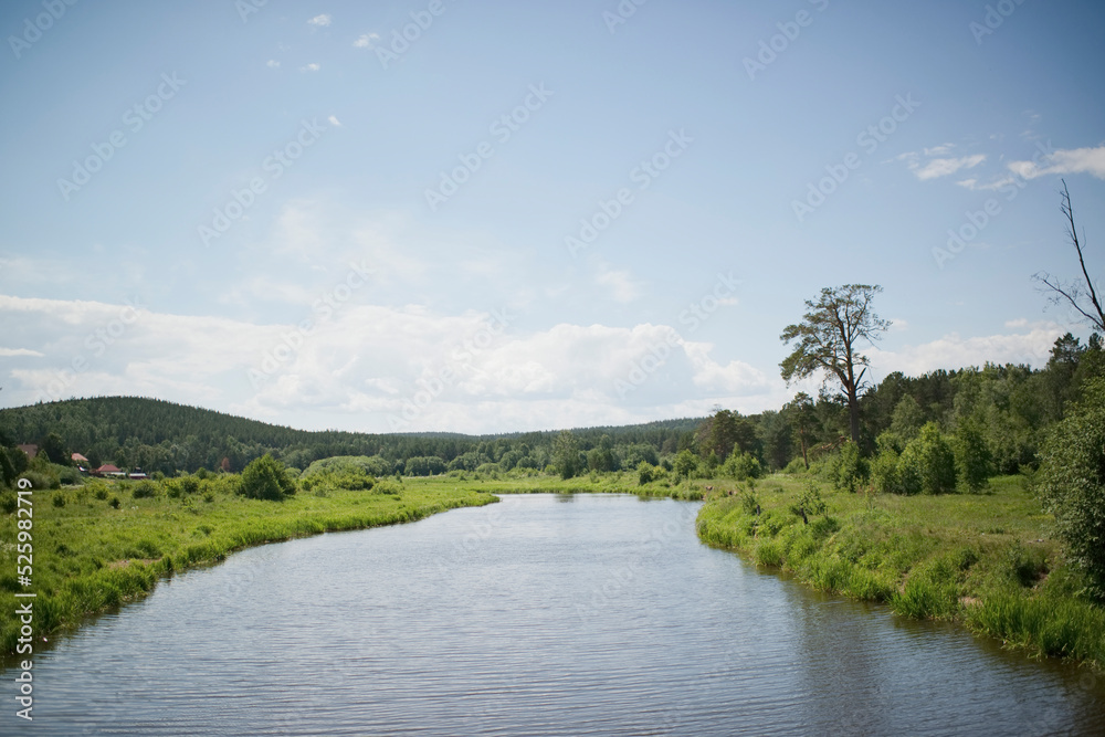 Obraz premium River in nature on a summer day, early in the morning