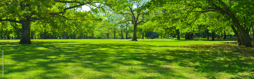 green garden