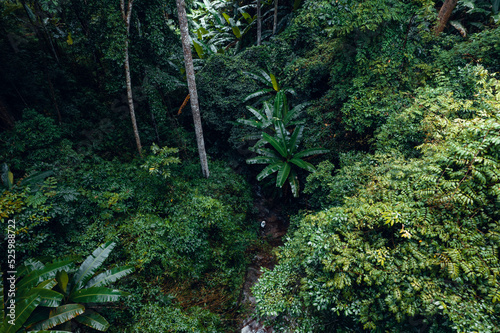 Waterfall in tropical forest waterfall in jungle