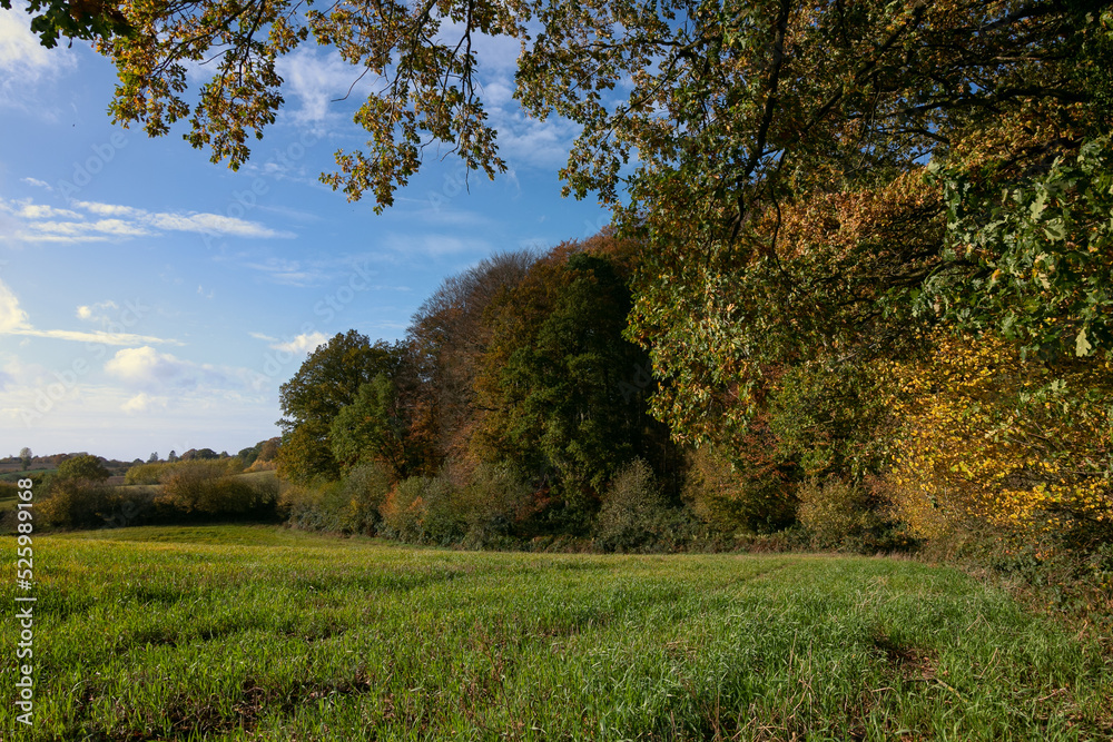 Rural field with hills and forest in fall.