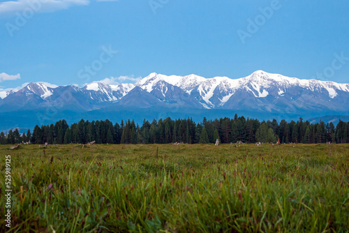  Landscape with mountains on the horizon  © furtseff