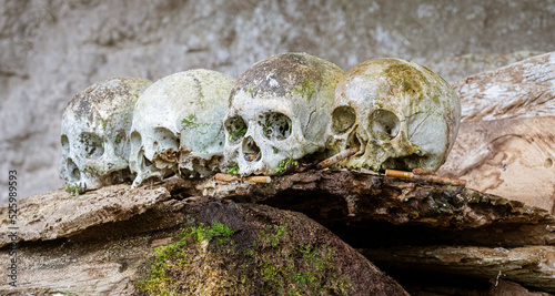 Java, Indonesia, June 13, 2022 - Hanging coffins were common in Toraja several hundred years ago. Skulls were left to guard the caskets at Londa Burial Caves. © mindstorm