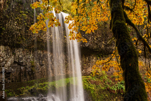 waterfall in autumn forest