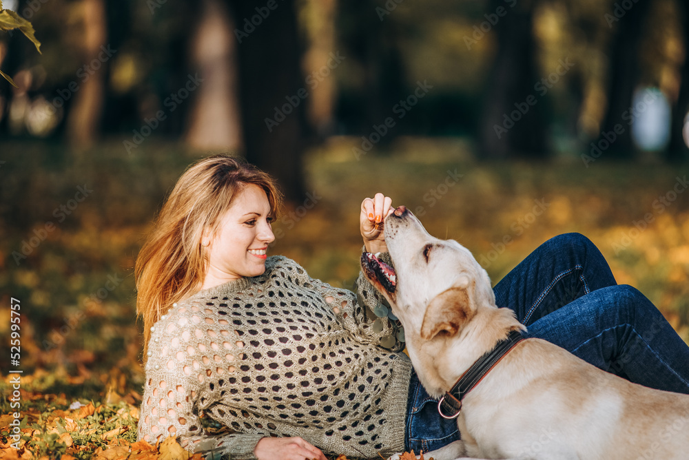 A beautiful blonde lies in yellow leaves in a park and plays with her labrador.