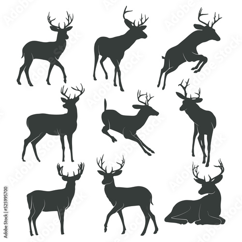 Deer silhouette collection © DesignLands 