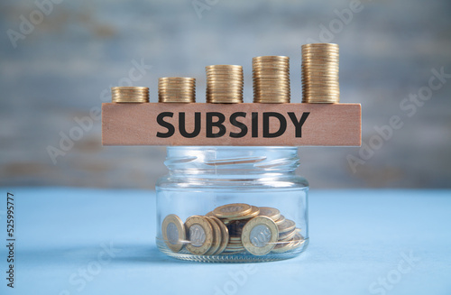 Glass jar of coins with a word Subsidy on wooden block. photo