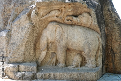 Bas relief rock cut sculpture representing a group of elephants, monkey and peacock carved on the monolithic rocks in Mahabalipuram, Tamilnadu. Ancient historical animal sculptures in rock cut temple.