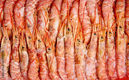 tiger prawns frozen top view