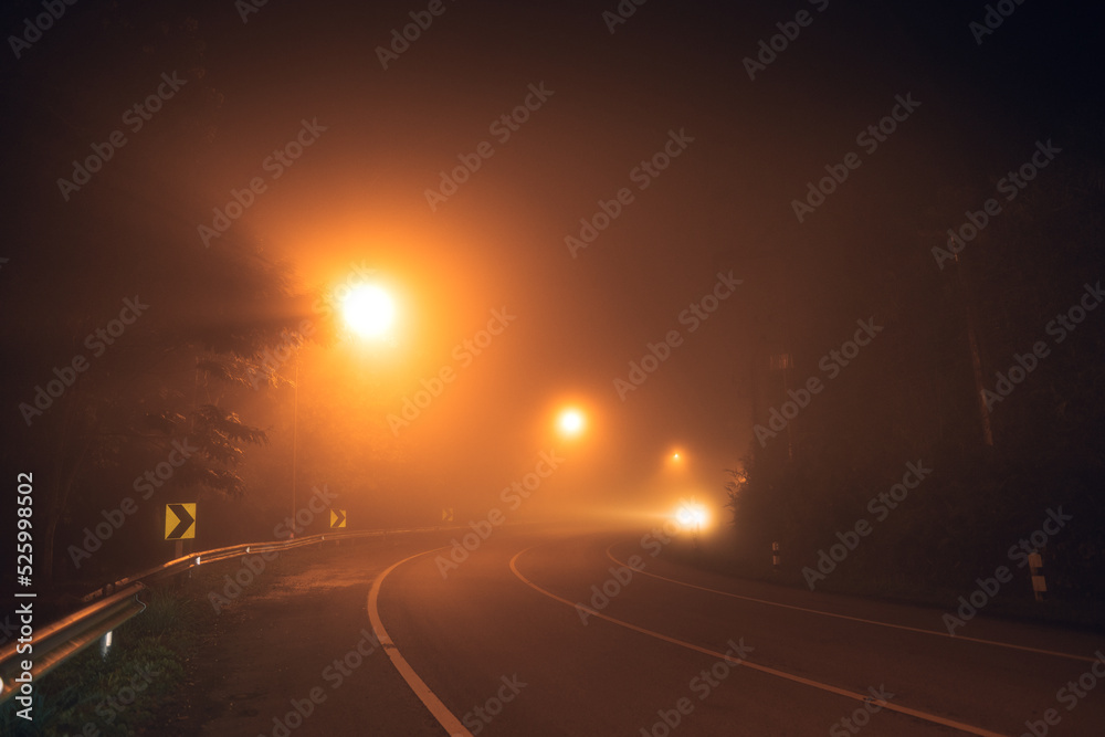 fog at night road and orange trees