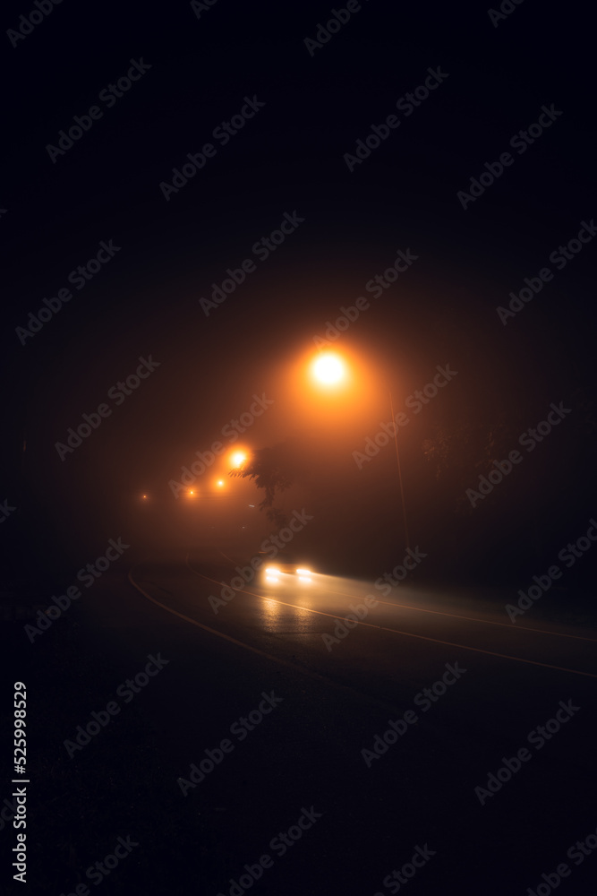 fog at night road and orange trees