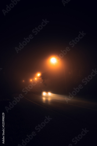 fog at night road and orange trees