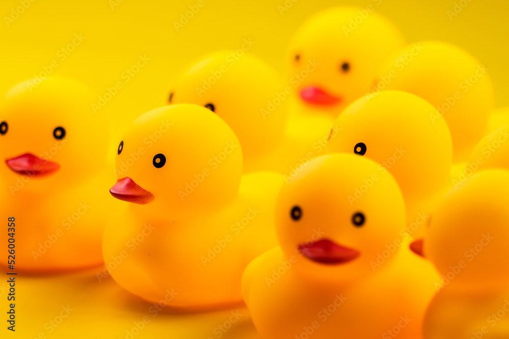 Closeup of Rubber yellow duck on yellow background. Closeup of Rubber yellow duck on yellow background.