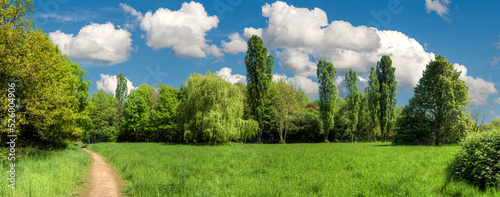 Laubbäume, Wiese und eine Waldlichtung in einem Naturpark in Frankfurt am Main bei sonnigem Frühlingswetter und aufgelockerter Bewölkung vor blauem Himmel
