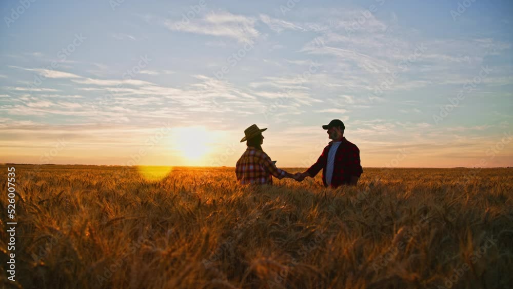 Woman in straw hat and man in cap shake hands on wheat field. Gesture of friendliness. Thanks for teamwork of farmers in agribusiness. Agronomists in work. Digital tablet in hands. Sunset on nature. Woman in straw hat and man in cap shake hands on wheat field. Gesture of friendliness. Thanks for teamwork of farmers in agribusiness. Agronomists in work. Digital tablet in hands. Sunset on nature.