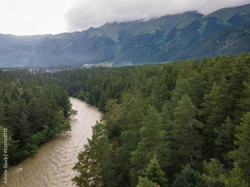 Aerial view of scenic mountain rapid river surrounded by forest Aerial view of scenic mountain rapid river surrounded by forest