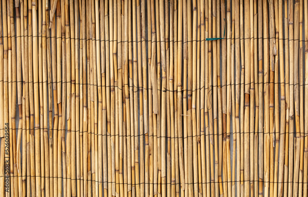 Reed fence wall as abstract background.