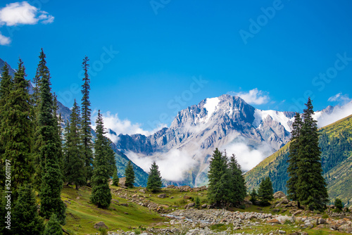 Beautiful nature of the rocky mountains of Switzerland. Snowy peaks, green landscape of nature. Coniferous trees among the rocks on a blue background